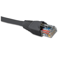 Cables - Nexxt Patch Cord Cat6 3Ft. GR - 798302030534