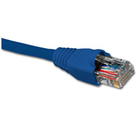 Cables - Nexxt Patch Cord Cat6 3Ft. BL - 798302030541