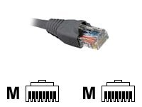 Cables - Nexxt - AB360NXT01